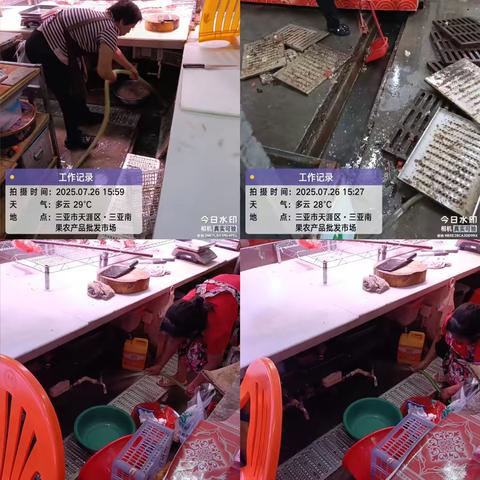 2025年7月26日三亚南果农产品批发市场晚市休市后开展大扫除活动