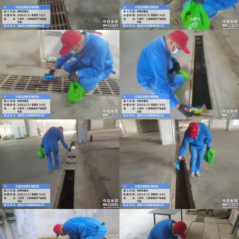 2025年7月31日三亚南果农产品批发市场使用杀虫颗粒剂对市场排水沟进行投药消杀