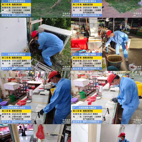 2025年8月7日三亚南果农产品批发市场持续开展“蚊虫孳生地、 防蚊灭蚊”环境卫生整治工作