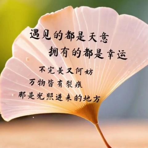 山城之约（二）