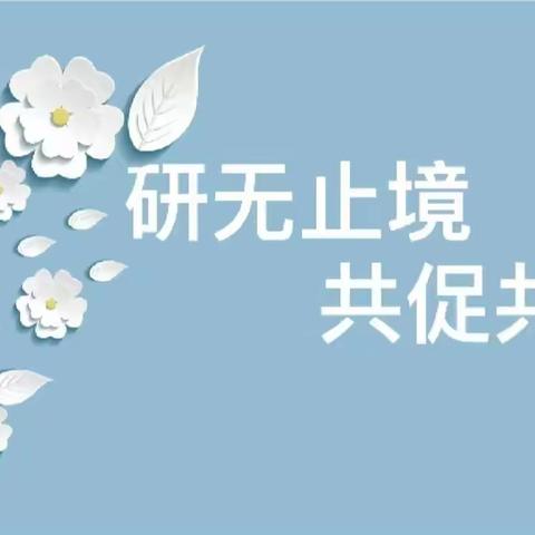 冬风迎诗意，教研绽芬芳 —山南山北联盟  携手教研并进