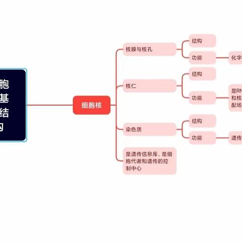 细胞的基本结构