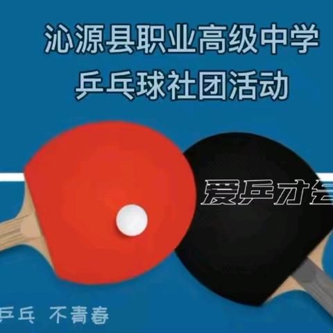 乒乓跃动 演绎青春