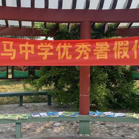 不负暑假好时光——白马寺镇初级中学优秀作业展