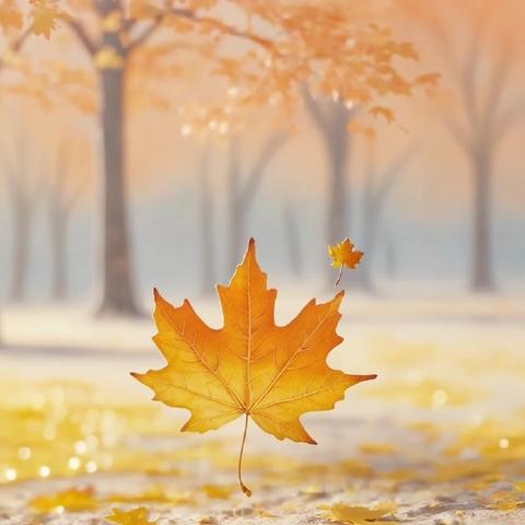 积“常规”跬步，行“教学”千里—张王文中心小学教师业务常规检查活动