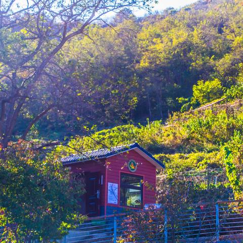 观海揽城登午山