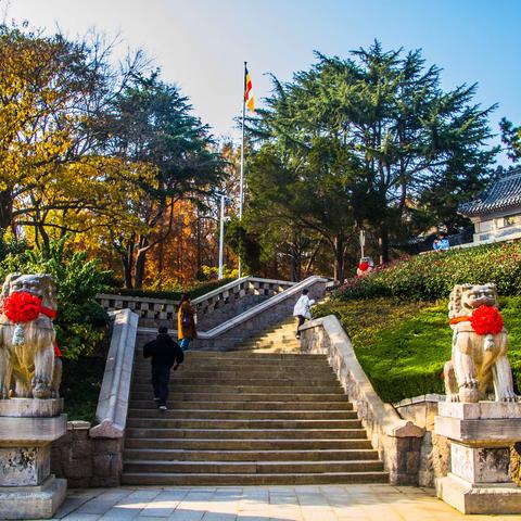 初冬湛山寺斑斓秋意浓
