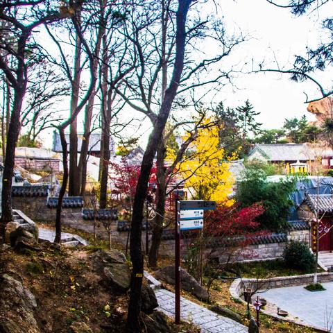 崂山行：走寿峰探觅天洞