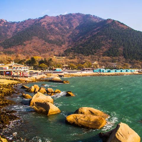 崂山太清宫 初冬枫似火