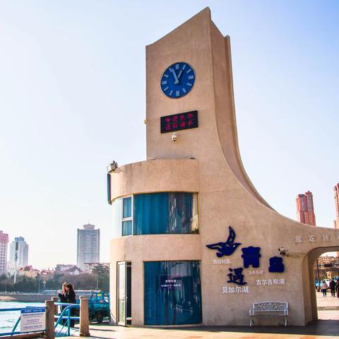 赴约栈桥赏海鸥