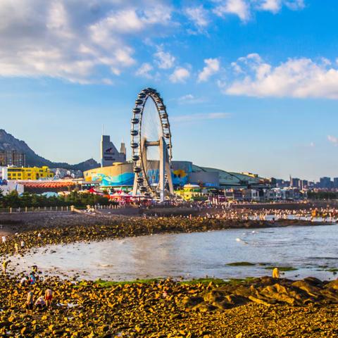 从极地海洋公园到海之恋海滨