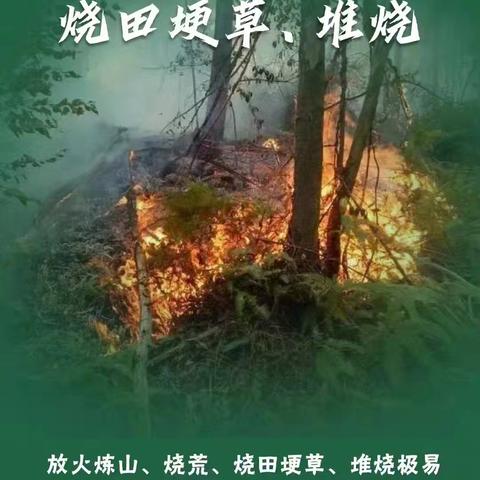 森林防火在我心中 ——吴家堡小学开展森林防火安全教育