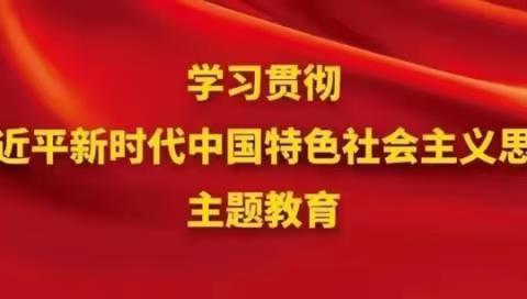 凝心聚力共成长，砥砺前行新征程  ——元谋县江边小学党支部召开学习贯彻习近平新时代中国特色社会主义思想主题教育专题组织生活会和开展民主评议党员