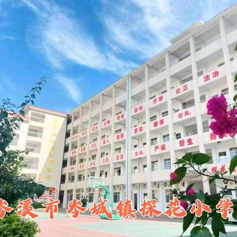 身边榜样，引领成长﻿——岑溪市岑城镇探花小学“最美探花学子”事迹报道（一）