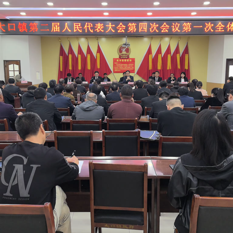 偃师区大口镇第二届人民代表大会第四次会议胜利召开！