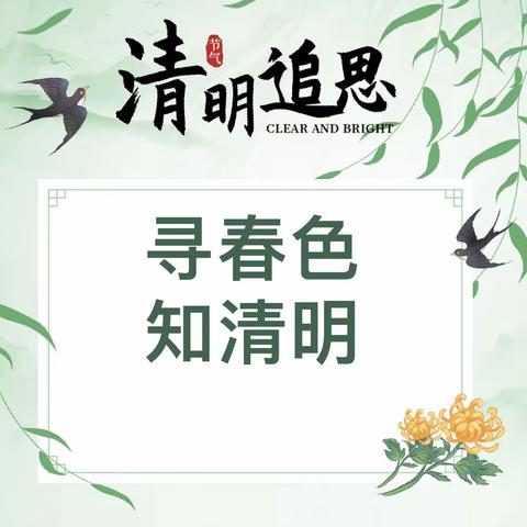 寻春色，知清明——灵山镇朱家峪小学清明节系列主题活动