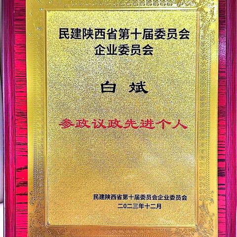 喜讯！白斌总经理被评为“参政议政先进个人”