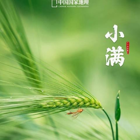 【上善三班】 ﻿夏犹清和 ，芳草未歇🌸