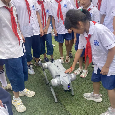 点燃科技星火，共赴创新未来｜南阳市油田第二中学科技节圆满举行