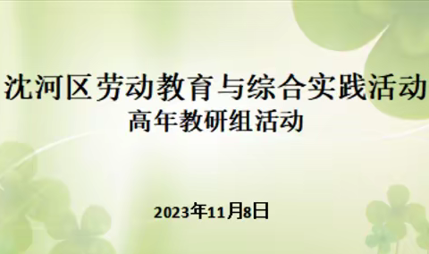 解关键问题 寻路径方法 沈河区劳动教育与综合实践活动高年教研组活动暨沈河区优秀课复赛侧记