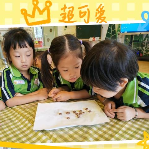 科学课程《蜗牛奇遇记》大唐现代启博幼儿园中一班