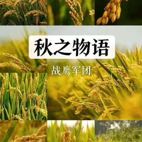 2025宋可儿卓越少年义工团秋季第二场团集会《秋之物语》
