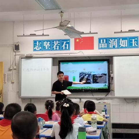 石宝小学低段语文教研活动