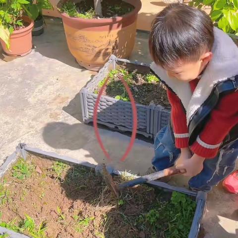 🌈启元实验幼儿园🍃大三班第四周活动花絮👀📖🎨