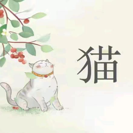 《猫》片段教学