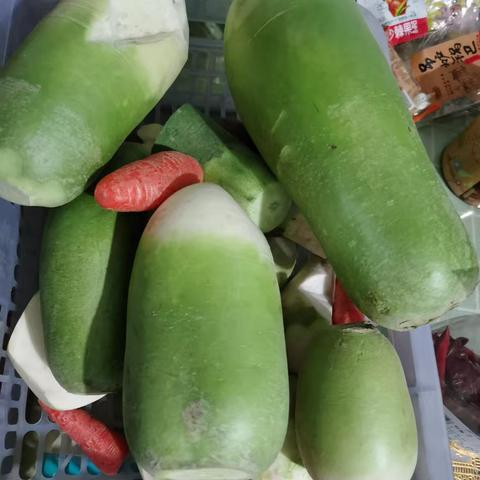 开心果的简篇