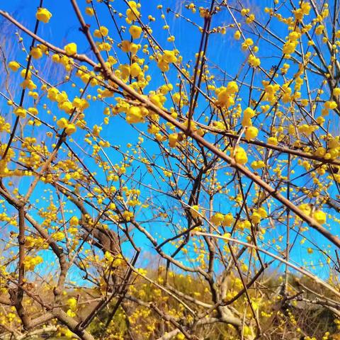 二年级下成长总结