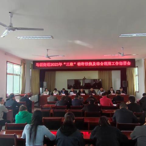 马额街道召开2023年“三秋”秸秆禁烧及综合利用工作推进会