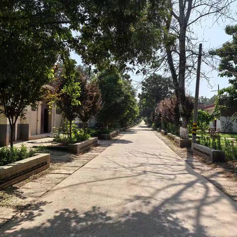 马额街道奋楫笃行共奋力，打造和美宜居“千万工程”