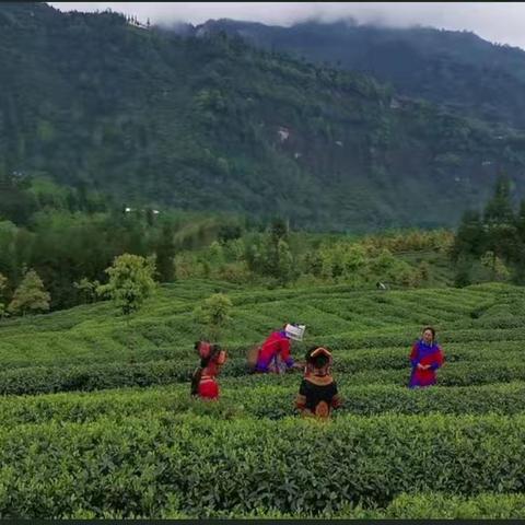 改革开放前后我家乡的变化