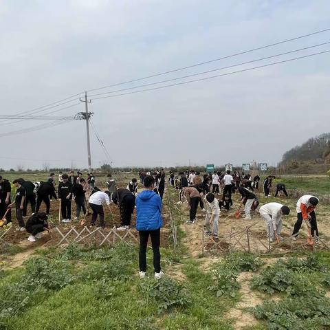 黄冈市思凯兰航空飞行职业技术学校—劳动砺心志，实践促成长