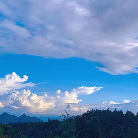 南岸慧灵2022第三届避暑暨夏令营活动圆满结束啦！