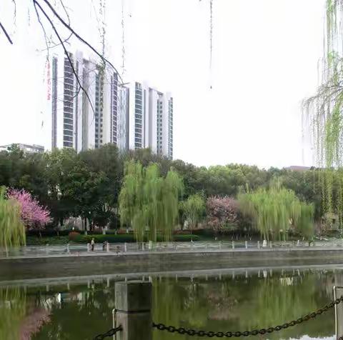 城南河的春天