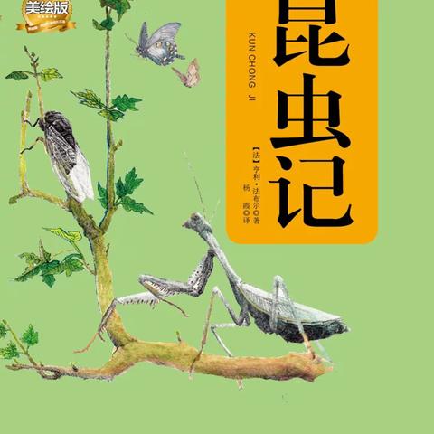 【初中语文郭凝凝名师工作室】八年级上册语文名著阅读知识点梳理《昆虫记》