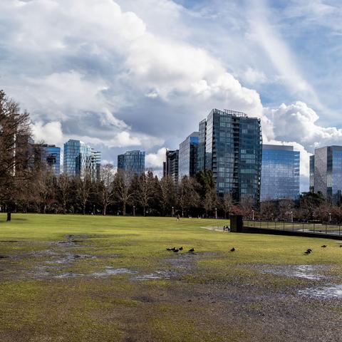 阴晴冷暖话西村 冬去春来花渐放—西雅图的季节变化