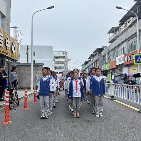 莘馨农场种植——芥菜之旅