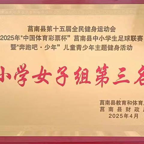竞技绿茵  “足”够精彩  ----莒南县第六小学在2025年"中国体育彩票杯”中小学生足球联赛喜获佳绩