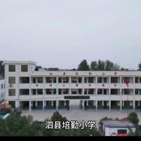 泗县培勤小学                  暑假致学生家长一封信