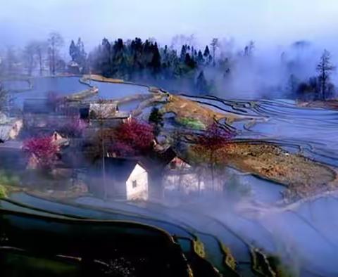 云端仙梯---阿者科