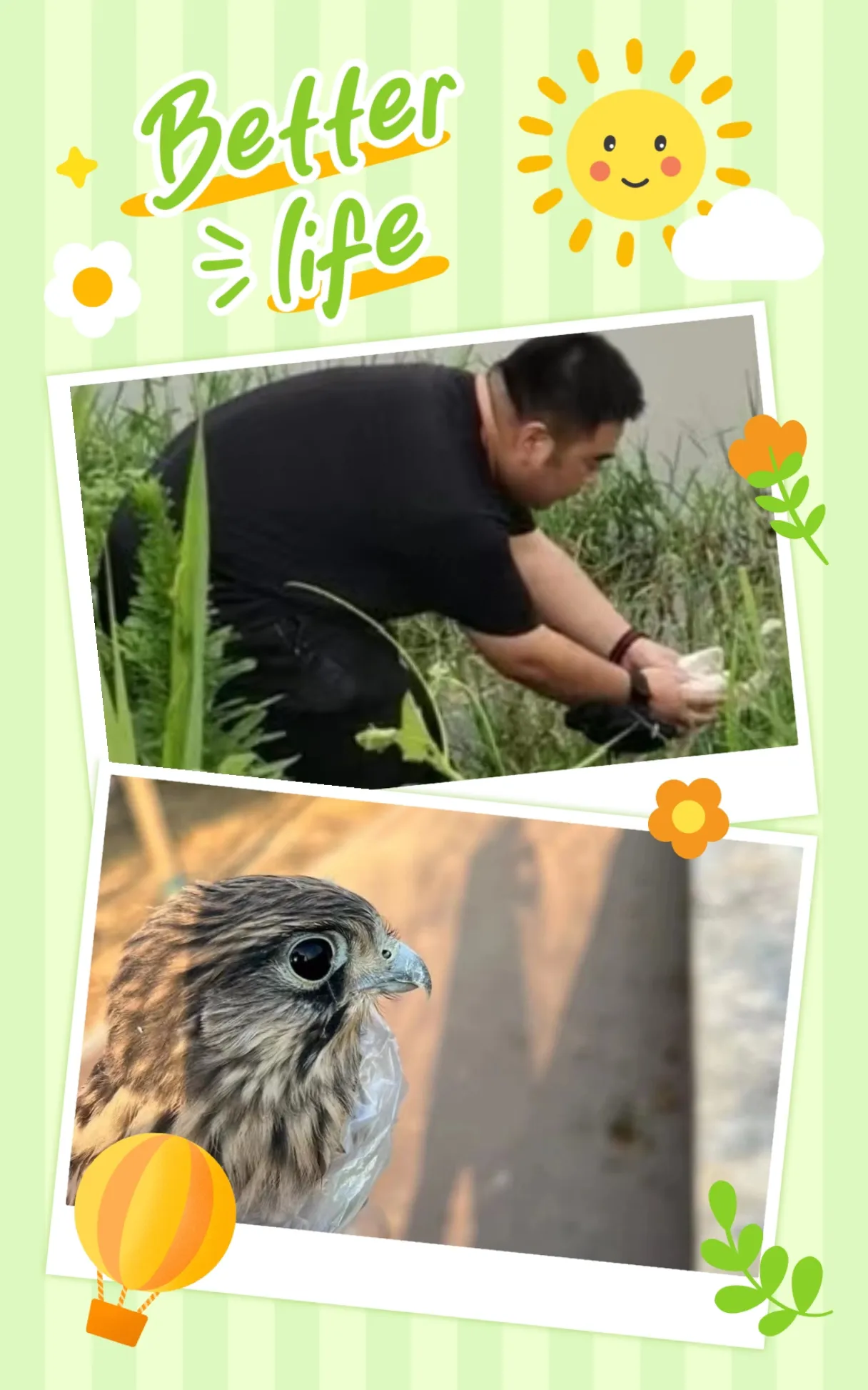 681cbb1f2d2a46c0b80022d28691c029__jpg.heic~tplv-flrovnc8r8-s2-cC-q:0:0:0:0:q80.webp