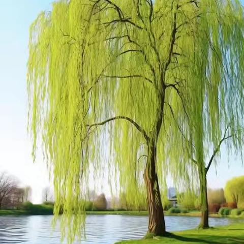 春风化雨 平安清明——漯河阴阳赵镇姬留实验学校2025年清明节致全体家长的一封信