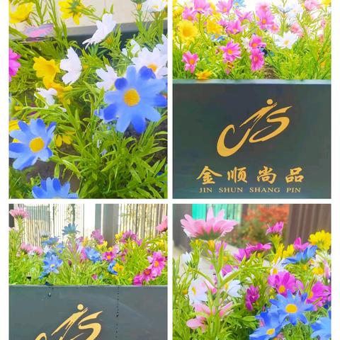 金顺尚品物业10月工作汇报