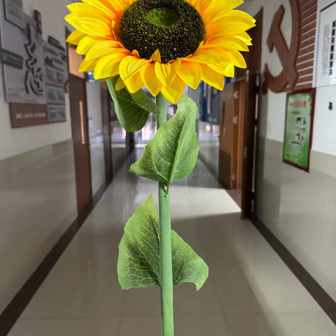 一举夺“葵”🌻一举高“粽”🇨🇳 （毕业快乐版）