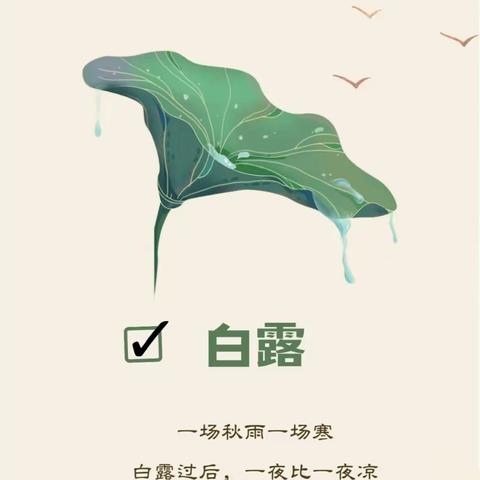 白露——秋意渐浓，万物有收