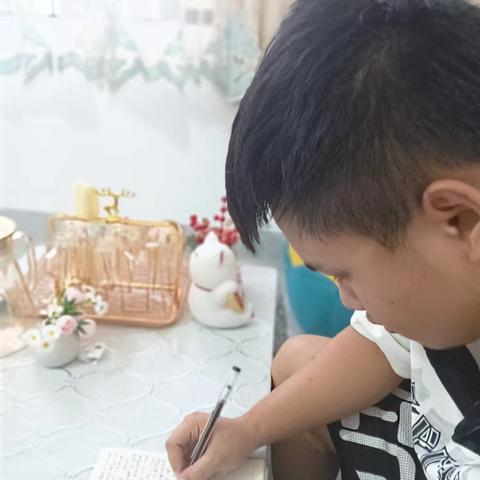 高中三年学习反思