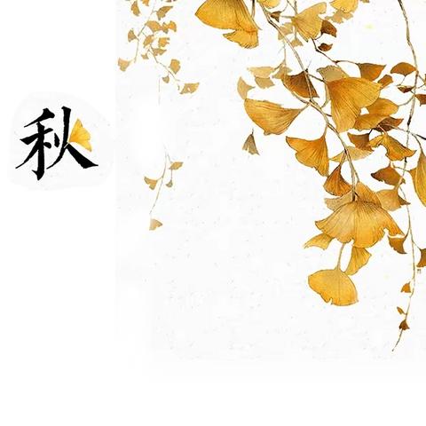 🍂🍂【秋分至，秋意浓】 二十四节气-立秋